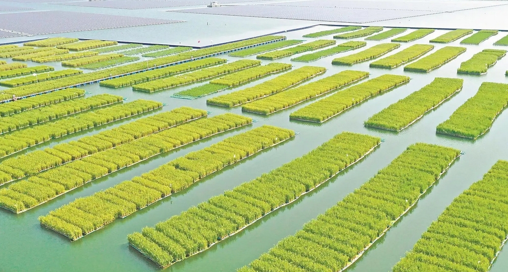 微信截图_20250527213636.png